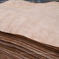 Factory direct sale natural wood okoume veneer from Gabon